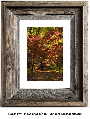 horse trail rides near me in Rehoboth, Massachusetts